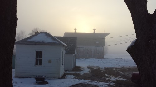 View from my front steps this morning.